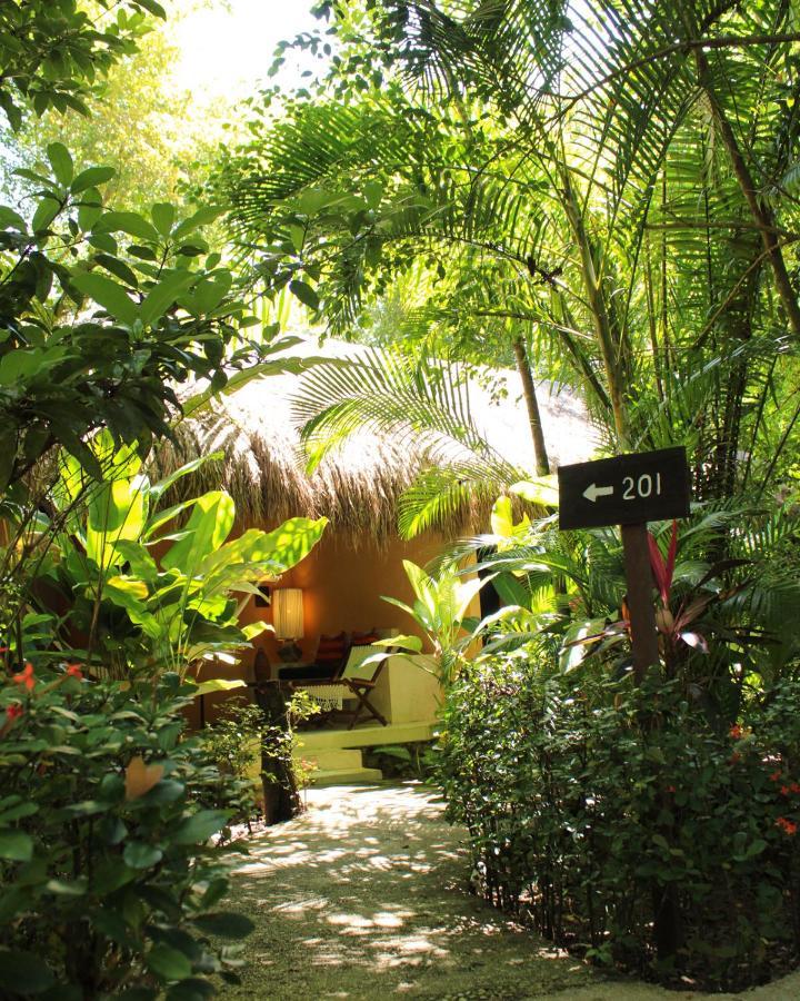 Hotel Piedra De Agua Palenque Esterno foto